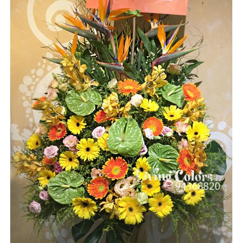 Congratulation Flower Basket 